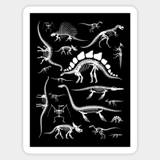 Dinosaurs Collection Sticker